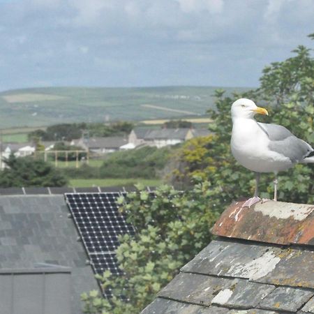 Gordon House B & B Tintagel Extérieur photo
