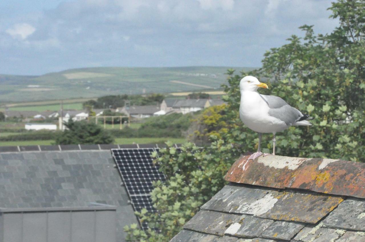 Gordon House B & B Tintagel Extérieur photo